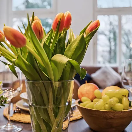 Altbau-apartment 2 Sz Augustaplatz Kurpark & Gop Bad Oeynhausen